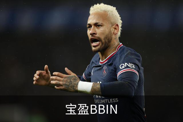 宝盈BBIN 公司简介